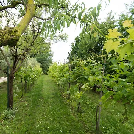 Tenuta Engi * Vérone