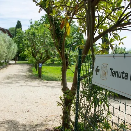 Tenuta Engi Verona