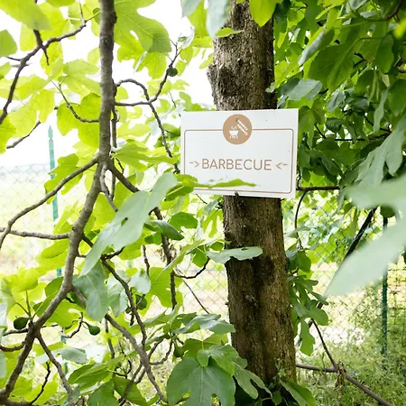 Apartament Tenuta Engi *