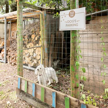 Appartamento Tenuta Engi *